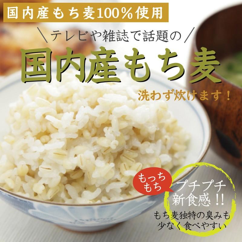 ポイント15倍 国内産もち麦 計1kg(500g×2袋) 100％国内産もち麦(大麦)使用 (メール便 送料無料)(SL)｜hseason｜02