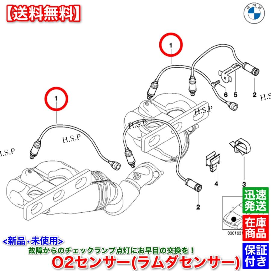 まひたん  SENTI (センティ)】【予約販売10月上旬～中旬入荷予定】Dyneema