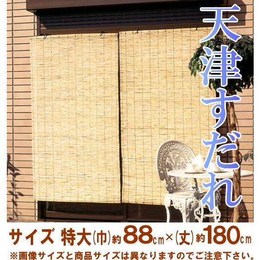 天津すだれ 特大サイズ (約)巾88cm×180cm 天然素材 : ホームショップ