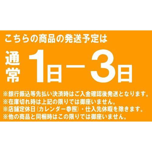 ポータブルトイレ 山崎産業 ポータブルトイレP型 カラー/ホワイト サービス品付 PT-P11(送料無料)