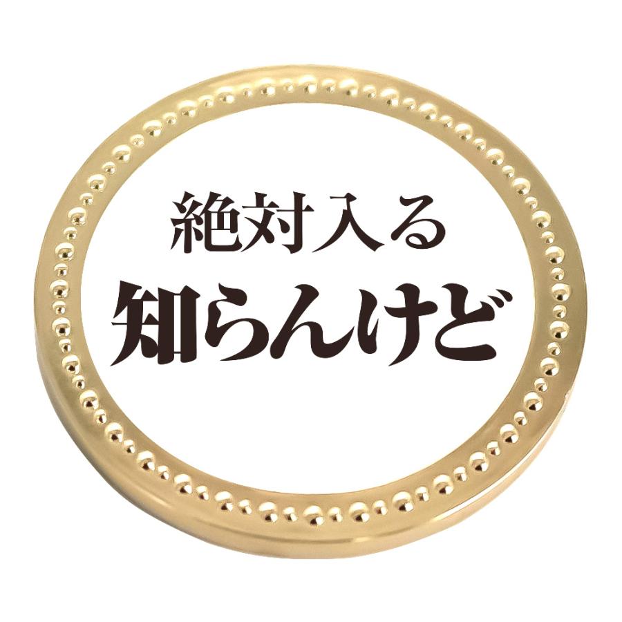 HTCゴルフ オリジナル ゴールドマーカー 知らんけど 絶対入る知らん