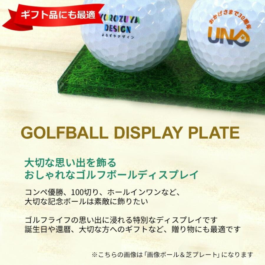 HTCゴルフ オリジナル オリジナル プリント ゴルフ顔ボール 作成 2球
