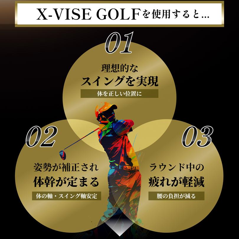 Lynx クロスバイス 動滑車式骨盤ベルト リンクス X-VISE GOLF 腰用