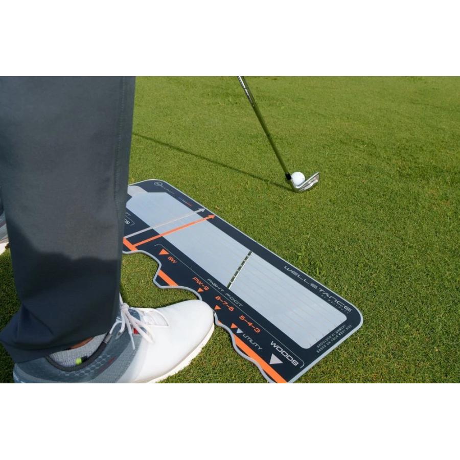 日本正規品 Wellstance ウェルスタンス 専用キャリーケース付き 