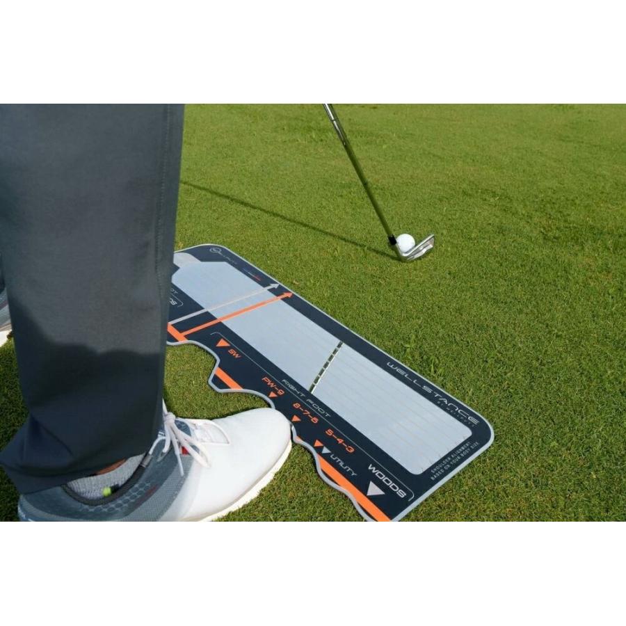 日本正規品 Wellstance ウェルスタンス 専用キャリーケース付き Wellputt ウェルパット ショット練習用 アドレス補助器具 アドレスポジション 練習器具 ゴルフの画像