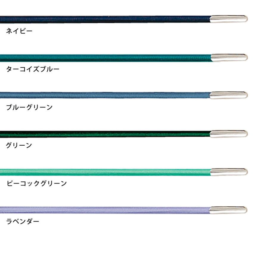 レプレ カスタマイズ手帳用ゴムバンド A6サイズ (Aタイプ／AXタイプ対応) 手帳カバー ダイアリーカバー ハイタイド 手帳 スケジュール帳 | HIGHTIDE | 20