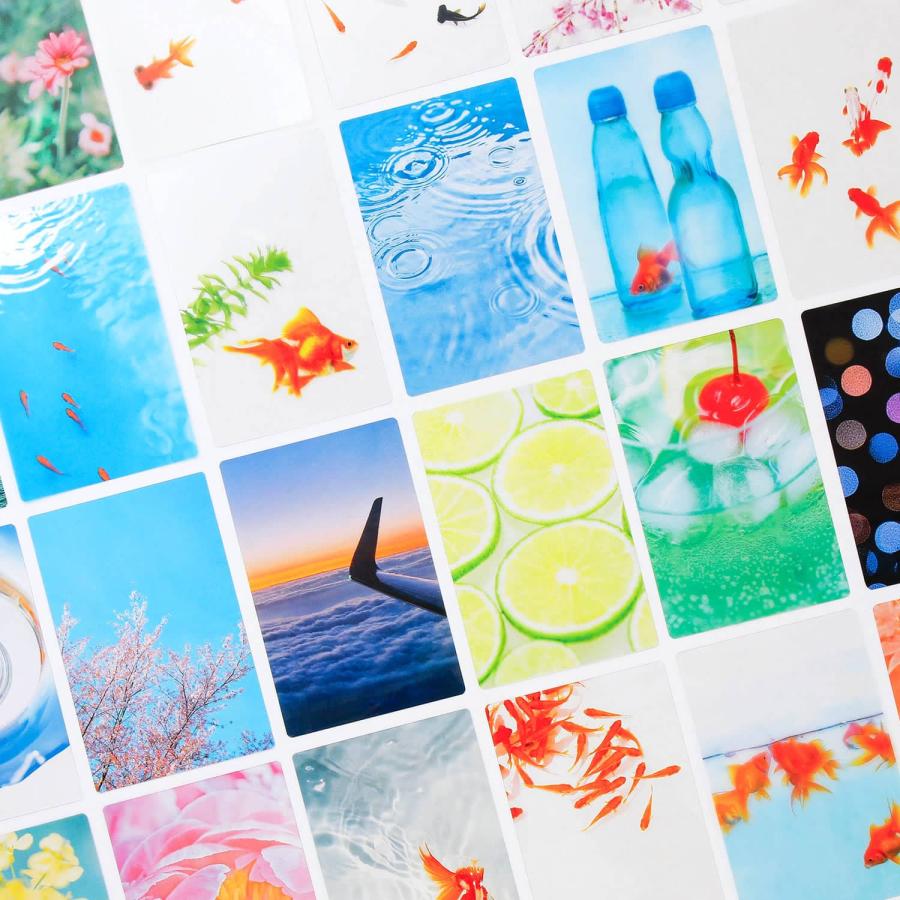 透明写真栞 しおり 文庫 かわいい 透明 ブックマーカー ブックマーク 読書 | 