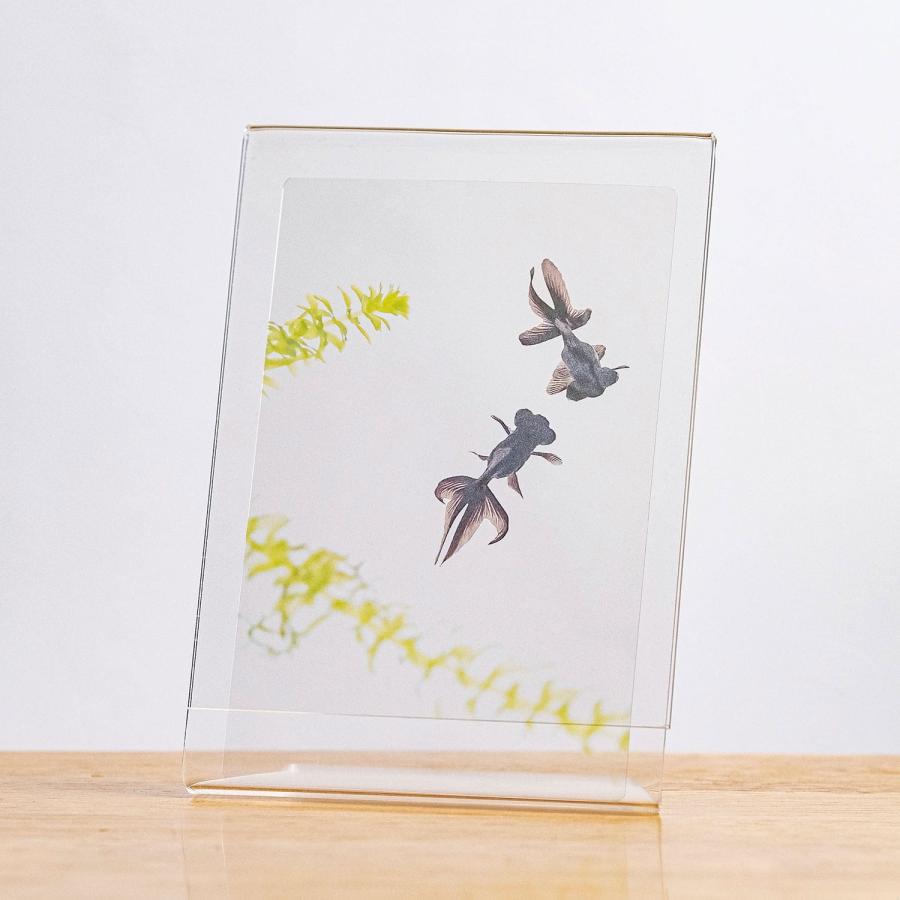 透明写真栞 しおり 文庫 かわいい 透明 ブックマーカー ブックマーク 読書 |  | 38