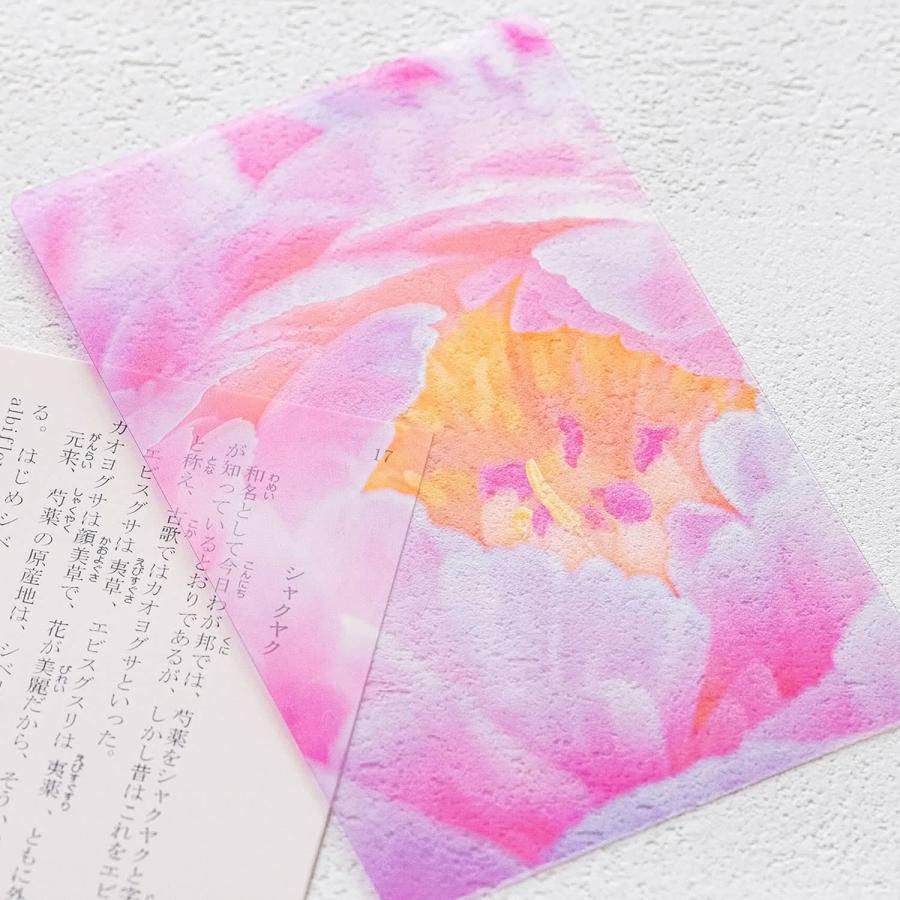 透明写真栞 しおり 文庫 かわいい 透明 ブックマーカー ブックマーク 読書 |  | 39