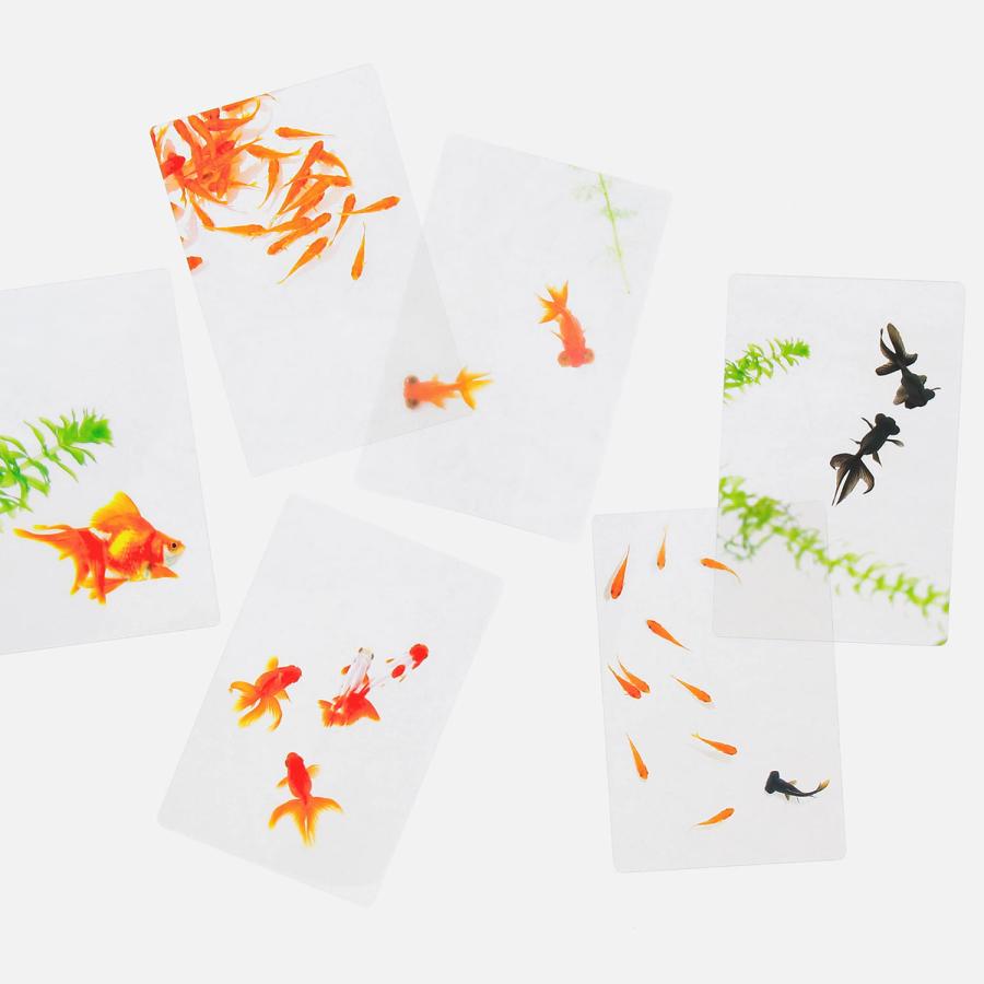 透明写真栞 しおり 文庫 かわいい 透明 ブックマーカー ブックマーク 読書 |  | 42