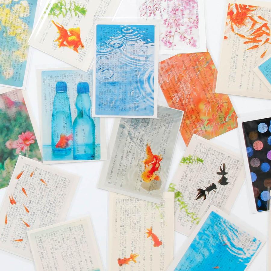 透明写真栞 しおり 文庫 かわいい 透明 ブックマーカー ブックマーク 読書 |  | 46