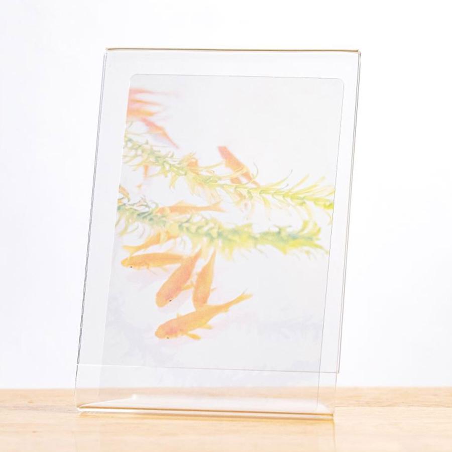 透明写真栞 しおり 文庫 かわいい 透明 ブックマーカー ブックマーク 読書 |  | 43