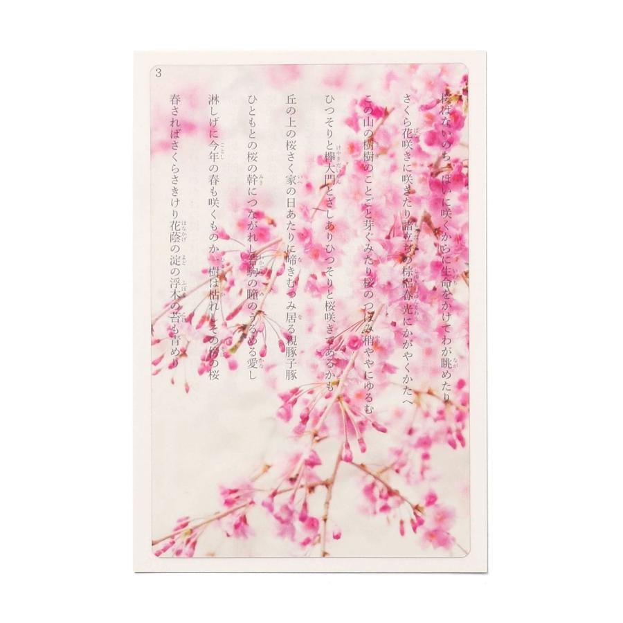 透明写真栞 しおり 文庫 かわいい 透明 ブックマーカー ブックマーク 読書 |  | 27