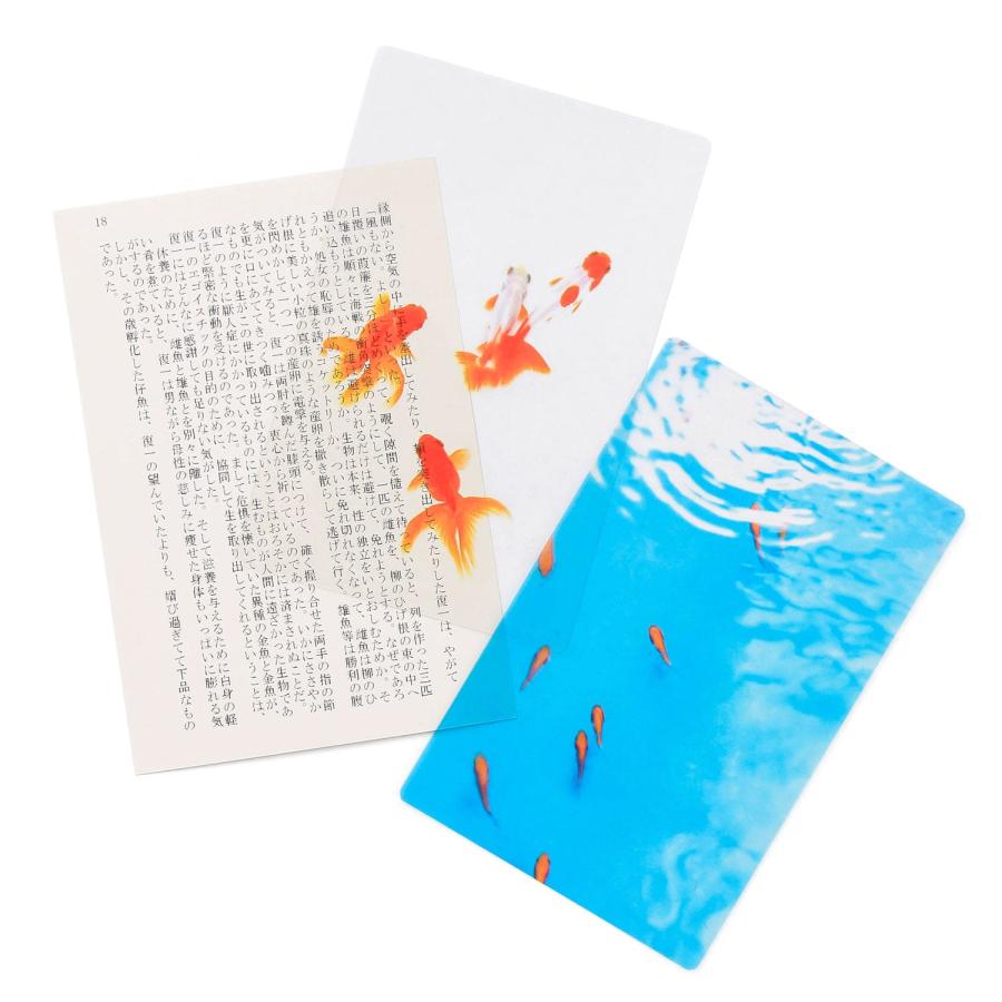 透明写真栞 しおり 文庫 かわいい 透明 ブックマーカー ブックマーク 読書 |  | 30