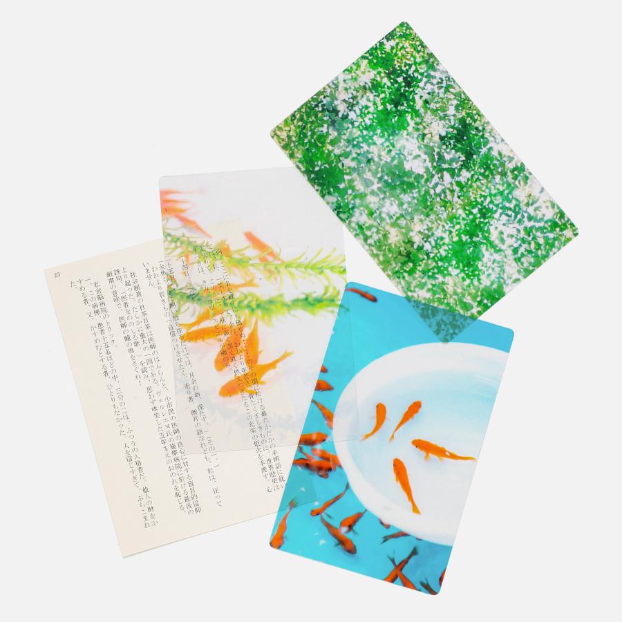 透明写真栞 しおり 文庫 かわいい 透明 ブックマーカー ブックマーク 読書 |  | 33