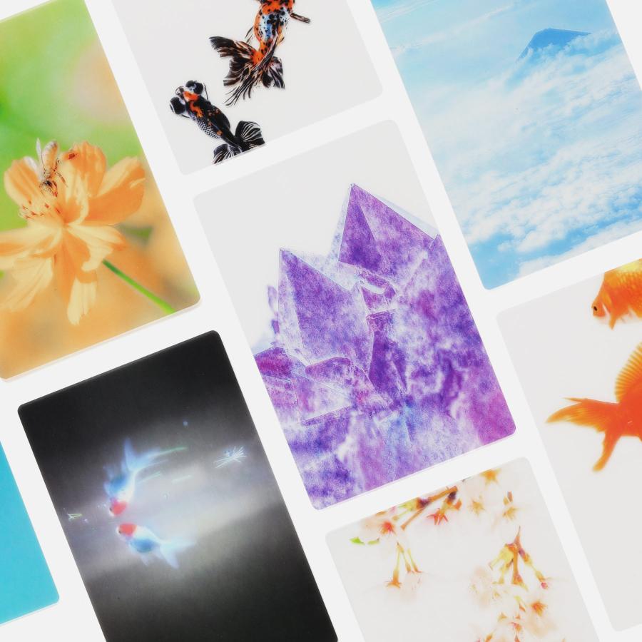 Photo & focus 透明写真栞 | 