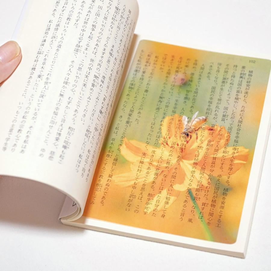 Photo & focus 透明写真栞 |  | 20