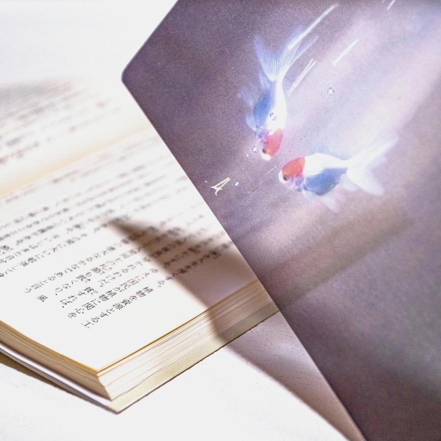 Photo & focus 透明写真栞 |  | 21