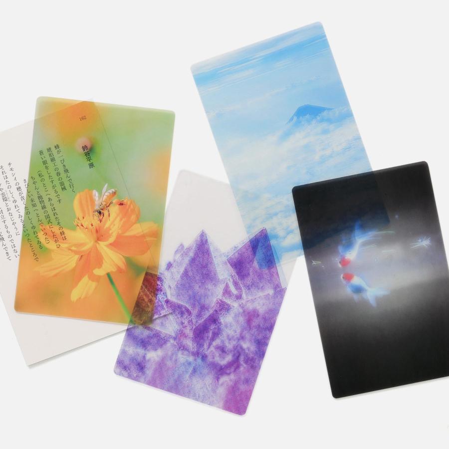 Photo & focus 透明写真栞 |  | 22