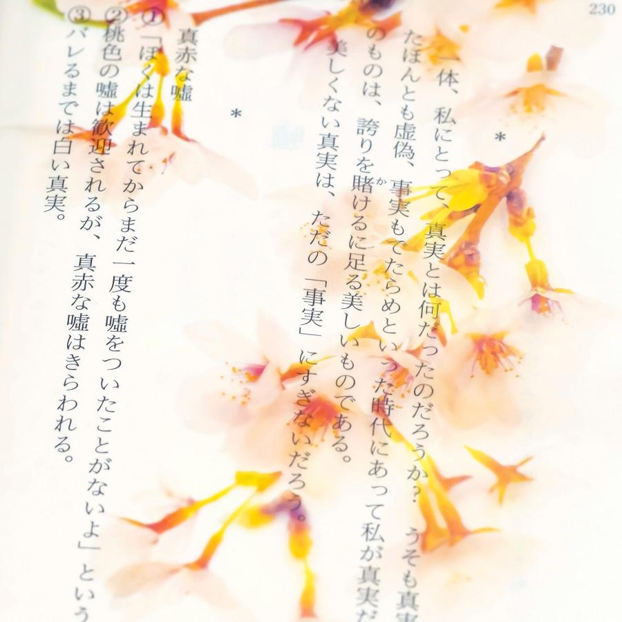 Photo & focus 透明写真栞 |  | 10