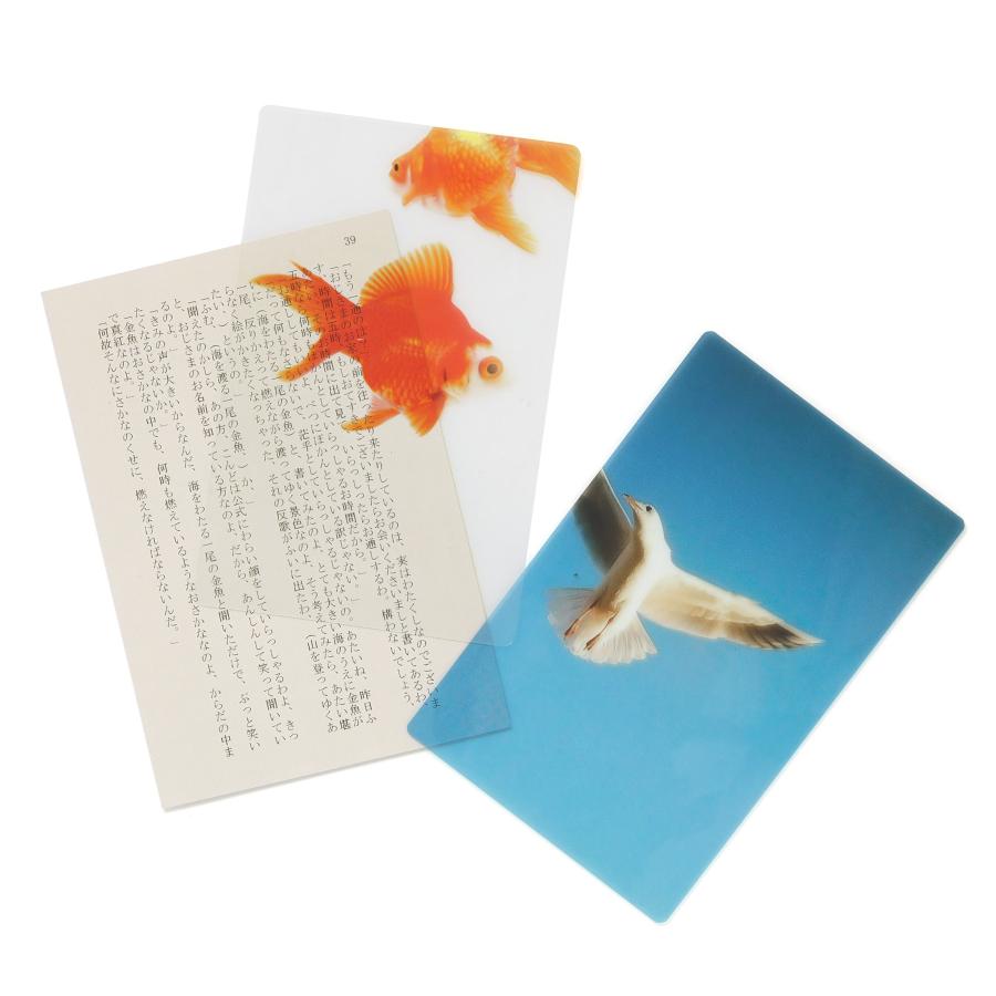 Photo & focus 透明写真栞 |  | 12