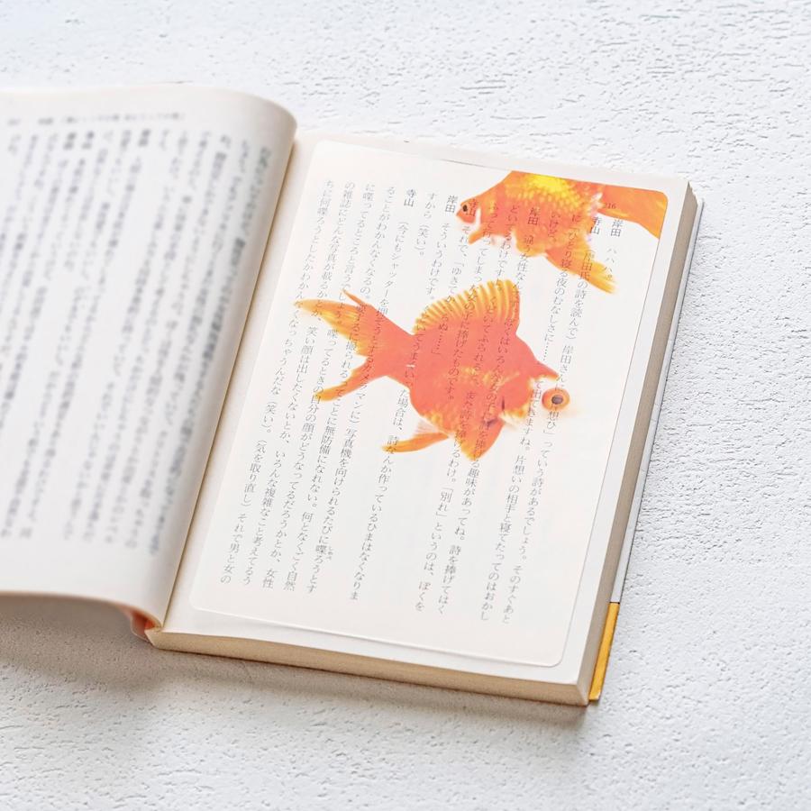 Photo & focus 透明写真栞 |  | 16