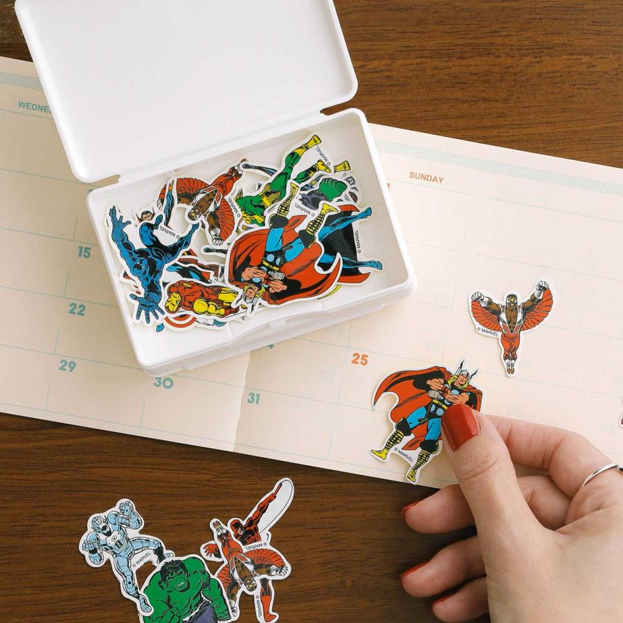 収納ケース penco ペンコ ストレージコンテナー ダブルサイド 小物入れ アクセサリー コイン カード 薬 仕分け 仕切り パーツ プラスチック おしゃれ かわいい | penco | 24