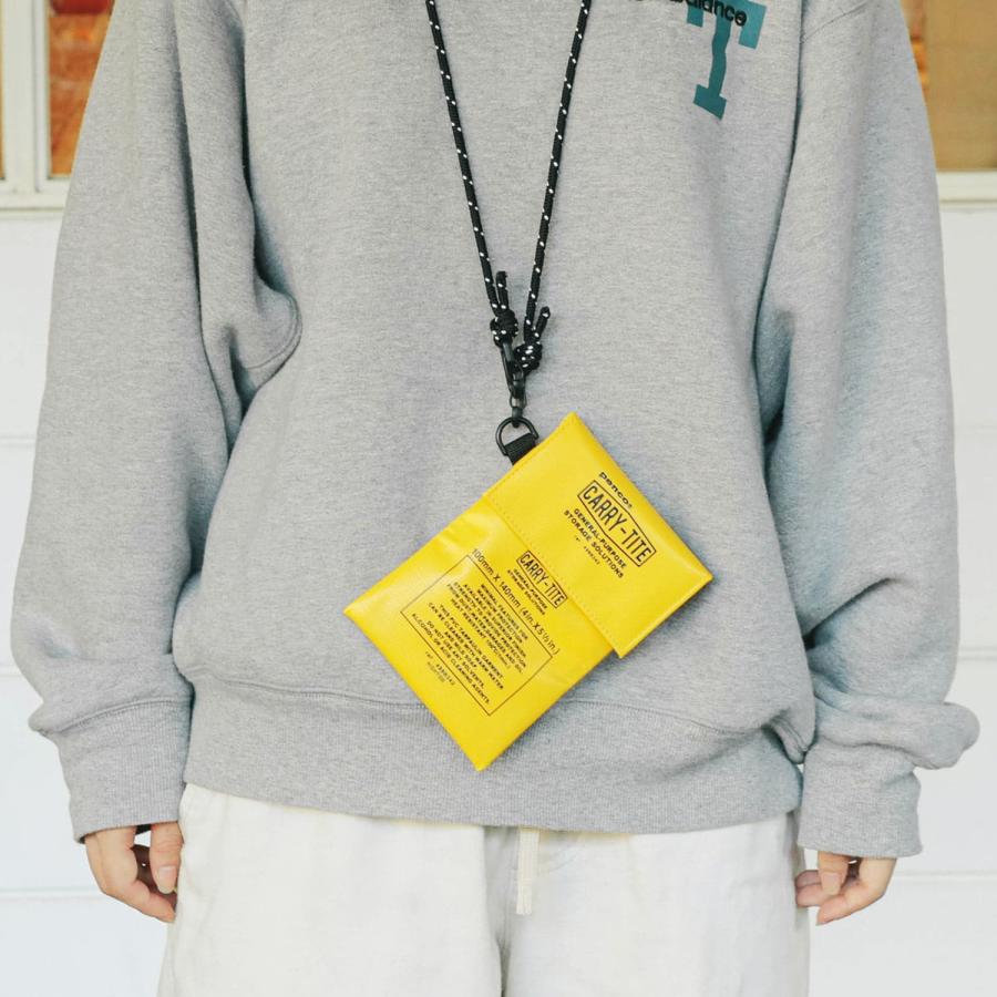 収納 ポーチ ペンコ キャリータイトケースS (Dリング付き) コインケース 財布 カード 小物入れ メンズ レディース 旅行 トラベル パスポート 首下げ ショルダー | HIGHTIDE | 30