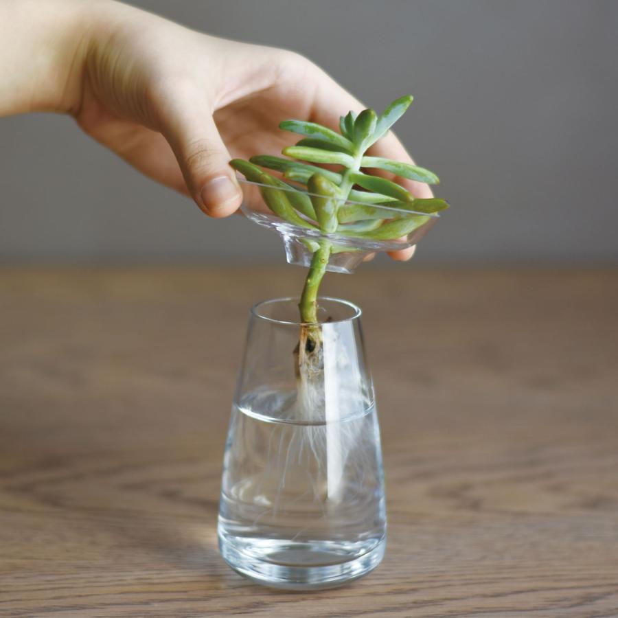 フラワーベース 花瓶 KINTO アクアカルチャーベース 80mm 一輪挿し 多肉植物 水耕栽培 ガラス 花器 おしゃれ ギフト シンプル 花 植物 球根 栽培 母の日 花以外 | KINTO | 08
