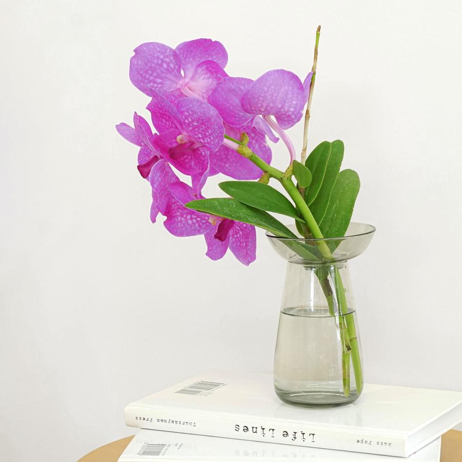 フラワーベース 花瓶 KINTO アクアカルチャーベース 80mm 一輪挿し 多肉植物 水耕栽培 ガラス 花器 おしゃれ ギフト シンプル 花 植物 球根 栽培 母の日 花以外 | KINTO | 07