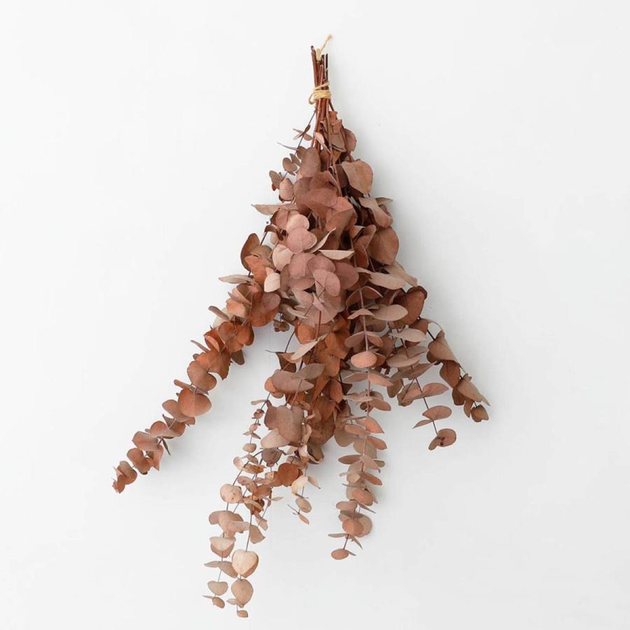 壁 フック 画鋲 画びょう BRASS プッシュピン Lフック S/5 （5個入り）フック画びょう L字フック 真鍮 壁掛け アンティーク風 DIY 手軽 簡単 ディスプレイ |  | 06