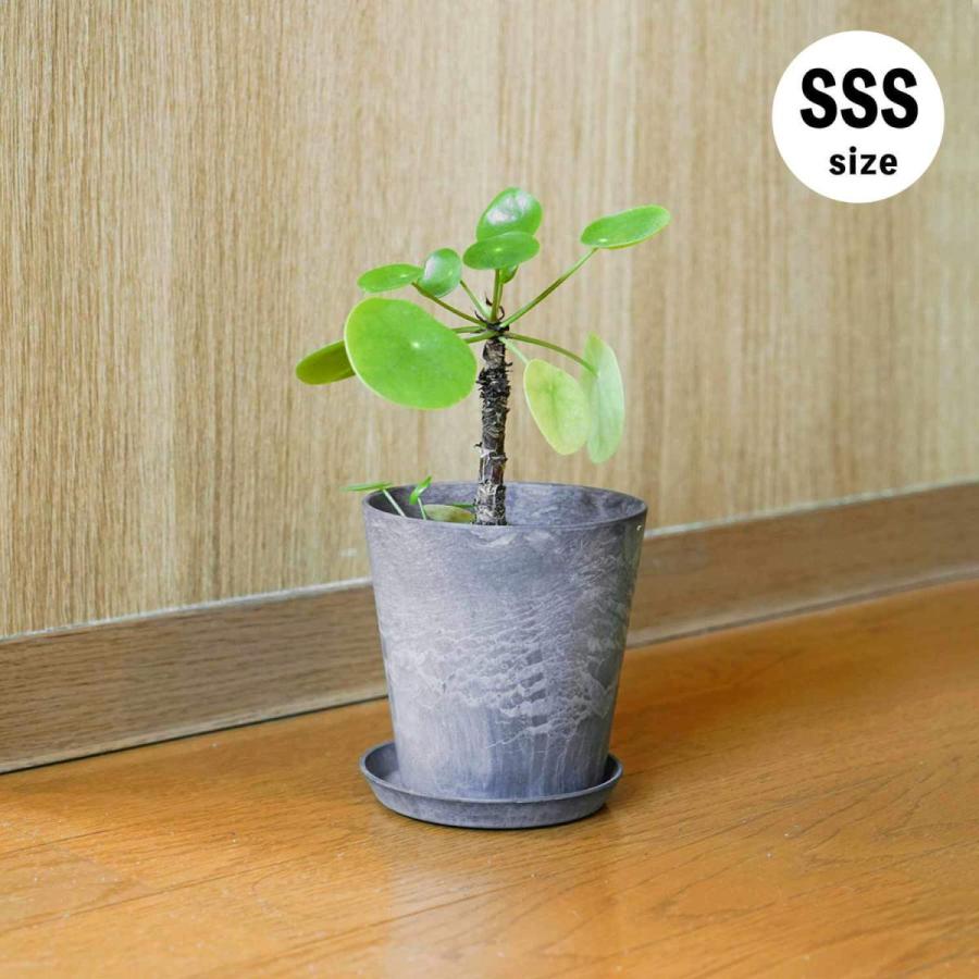 プランター 鉢 植木鉢 3号 4号 amabro ART STONE（SSS） アートストーン インテリア 植物 軽量　鉢植え 花 栽培 ギフト かわいい おしゃれ ガーデニング | amabro