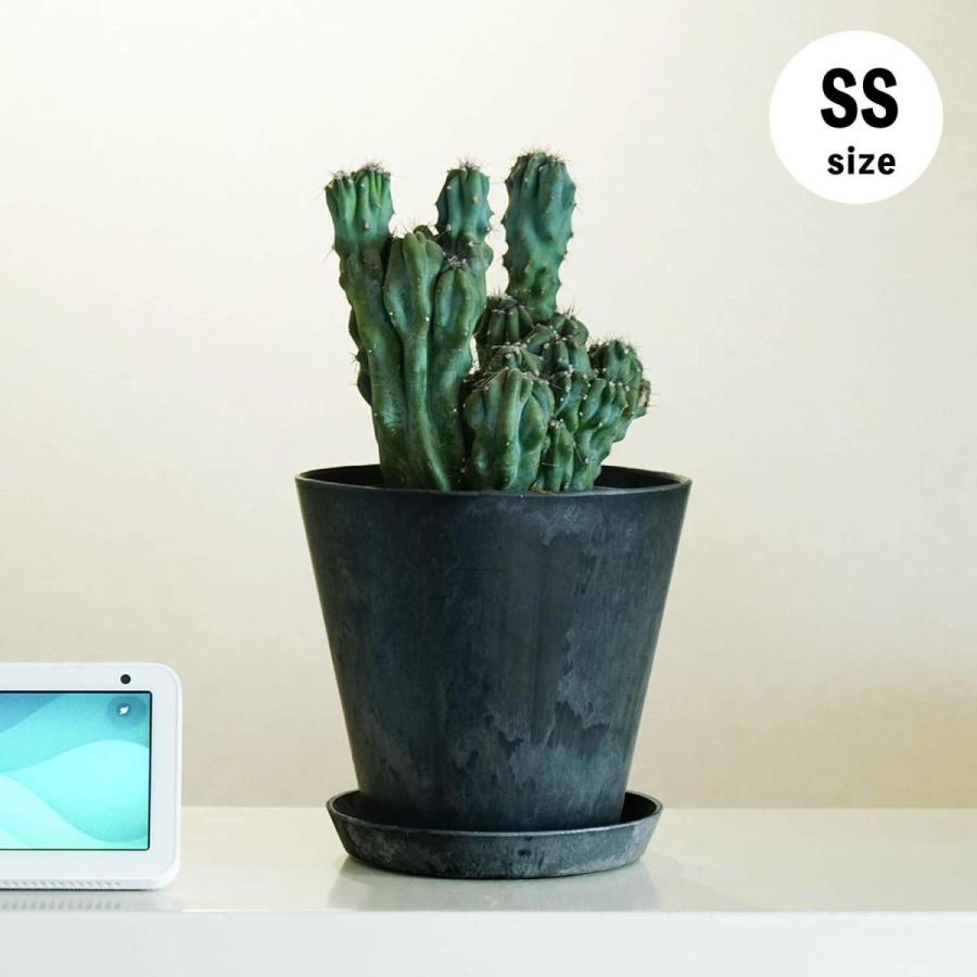 プランター 鉢 植木鉢 5号 6号 amabro ART STONE（SS）アートストーン インテリア 植物 軽量 ギフト かわいい おしゃれ ガーデニング | amabro