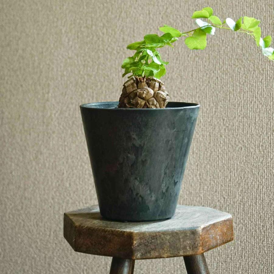 プランター 鉢 植木鉢 5号 6号 amabro ART STONE（SS）アートストーン インテリア 植物 軽量 ギフト かわいい おしゃれ ガーデニング | amabro | 10