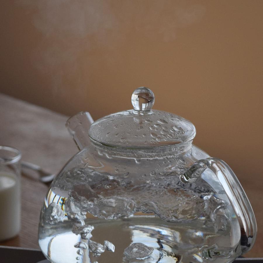 Nova 1.2 ノヴァ 1.2 ガラスケトル ガラスポット ウォーターケトル 耐熱ガラス ガラス製 ケトル やかん コーヒー 紅茶 電子レンジ 食洗機対応 Trendglas-Jena | DETAIL | 14