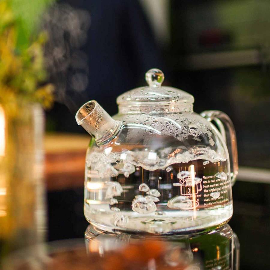 Classic 1.75G クラシック 1.75G ガラスケトル ガラスポット ウォーターケトル 耐熱ガラス ガラス製 ケトル やかん 電子レンジ 食洗機対応 Trendglas-Jena | DETAIL | 12