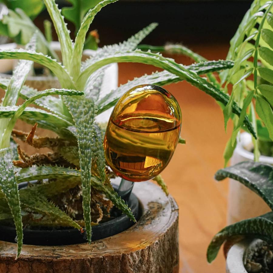 自動給水器 amabro アマブロ TWOTONE WATER DISPENSER S ウォーターディスペンサーS 水差し 自動水やり器 給水 ガーデニング 観葉植物 植木鉢 植物 おしゃれ | amabro