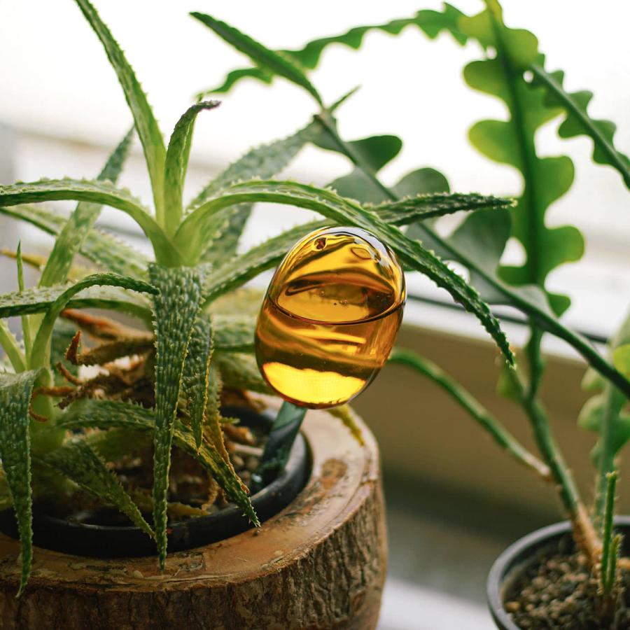 自動給水器 amabro アマブロ TWOTONE WATER DISPENSER S ウォーターディスペンサーS 水差し 自動水やり器 給水 ガーデニング 観葉植物 植木鉢 植物 おしゃれ | amabro | 15