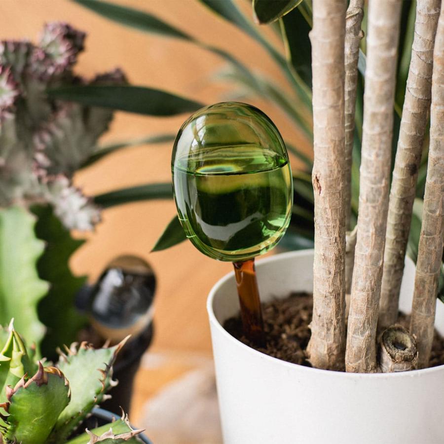 自動給水器 amabro アマブロ TWOTONE WATER DISPENSER L ウォーターディスペンサーL 水差し 自動水やり器 給水 ガーデニング 観葉植物 植木鉢 植物 おしゃれ | amabro