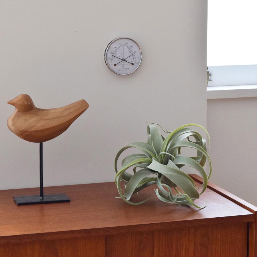 温湿度計 Fischer-barometer フィッシャーバロメーター 142.01 コンフォートメーター 温度計 湿度計 サーモメーター ドイツ製 アナログ インテリア 壁掛け | FISCHER | 10