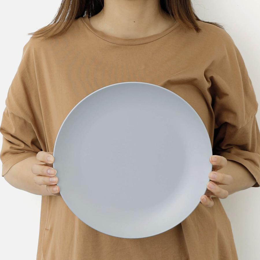 皿 27cm TRIBECA PLAWARE 10 Dinner Plate トライベッカ プラウェア 10 ディナープレート 食器 プラスチック 食洗機対応 電子レンジ対応 軽量 軽い 日本製 | ブランド登録なし | 10