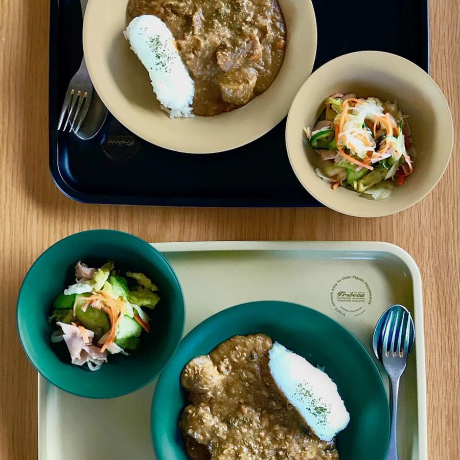 皿 15cm TRIBECA PLAWARE Bowl トライベッカ プラウェア ボウル 鉢 食器 プラスチック 食洗機対応 電子レンジ対応 割れにくい 軽量 軽い 日本製 | ブランド登録なし | 15