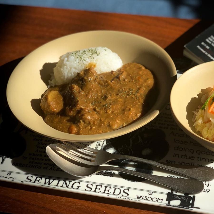 皿 21cm TRIBECA PLAWARE Coupe Plate トライベッカ プラウェア クーププレート 食器 プラスチック 食洗機対応 電子レンジ対応 割れにくい 軽量 軽い 日本製 | ブランド登録なし