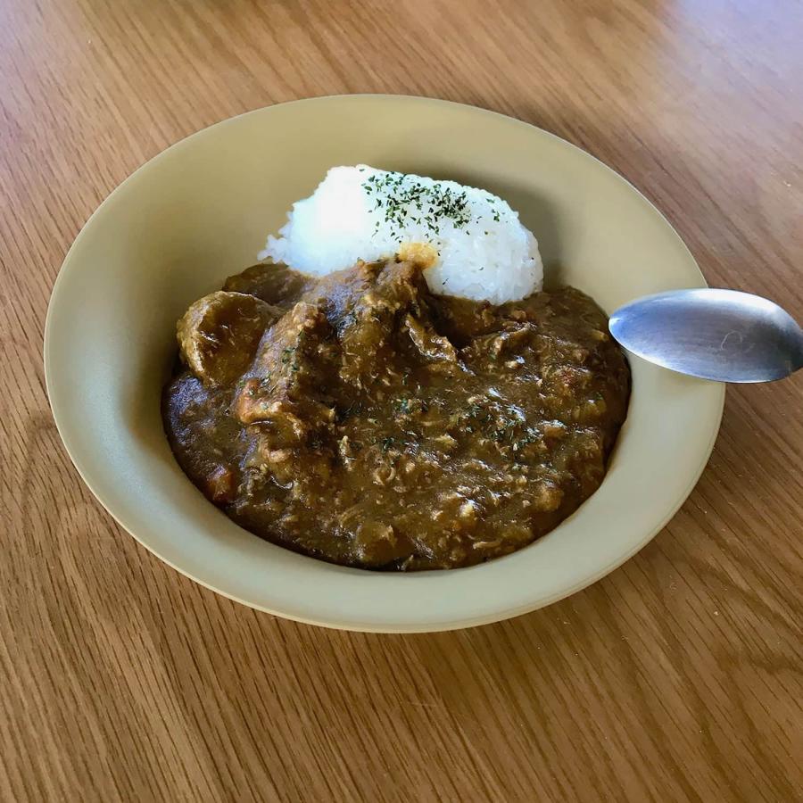 皿 21cm TRIBECA PLAWARE Coupe Plate トライベッカ プラウェア クーププレート 食器 プラスチック 食洗機対応 電子レンジ対応 割れにくい 軽量 軽い 日本製 | ブランド登録なし | 11