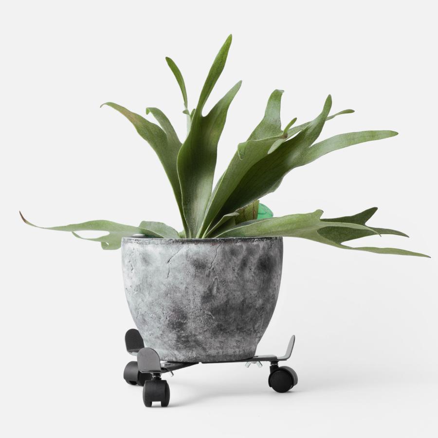 キャスター付 鉢置き amabro アマブロ IRON PLANTER STAND プランタースタンド 鉢台 鉢スタンド サイズ調整 伸縮 プランター台 移動 シンプル | amabro | 12