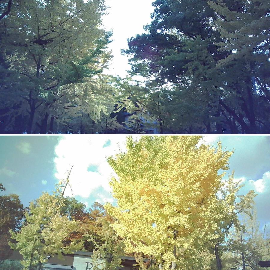 Opt! オプト OPT100 Neo Film ネオフィルム フィルム型 デジタルカメラ デジタルミニカメラ ミニデジカメ トイカメラ レトロ画質 超小型 軽量 コンパクト |  | 20