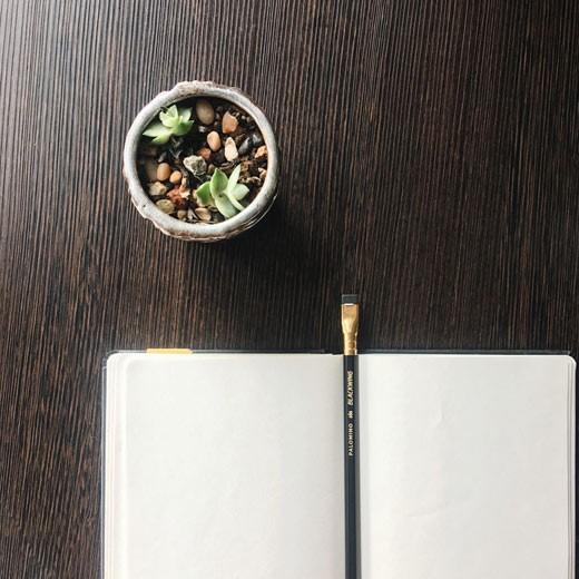 PALOMINO BLACKWING ブラックウィング 鉛筆 入学祝い 入園祝い | 