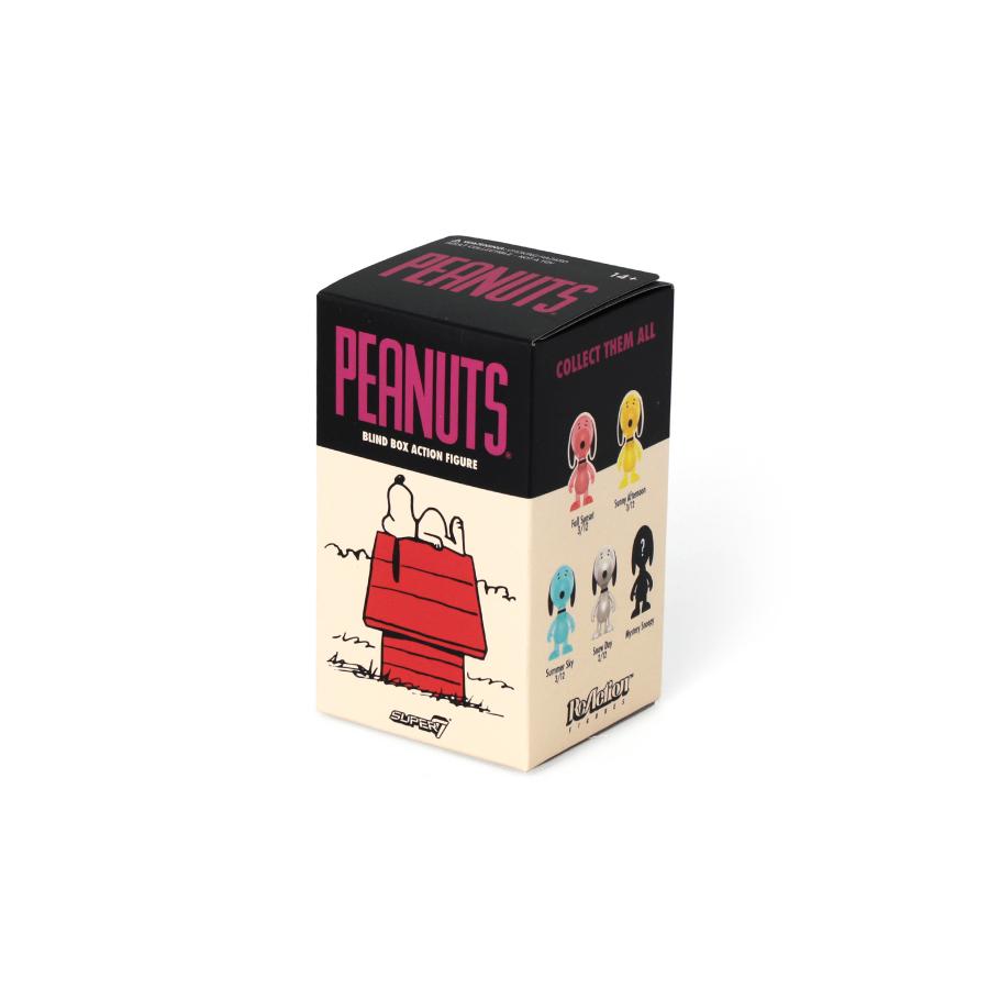 SNOOPY（スヌーピー） Super7 Peanuts Blind Box Wave 5 More Snoopies