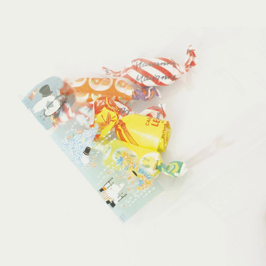 マスキングテープ ムーミン とうめいマスキングテープ マステ ムーミン 透明 北欧 ムーミングッズ | MOOMIN | 12