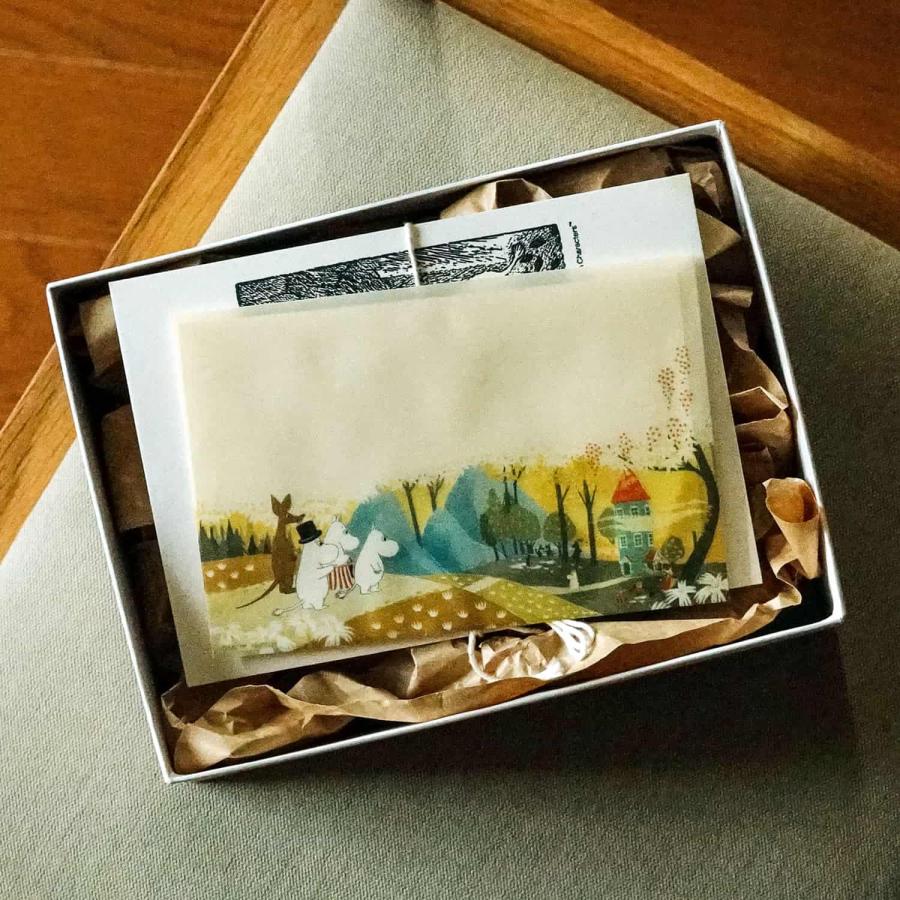 レターセット ムーミン MOOMIN トレペレター トレーシング 手紙 便箋 封筒 透け おしゃれ かわいい 大人 | MOOMIN | 16